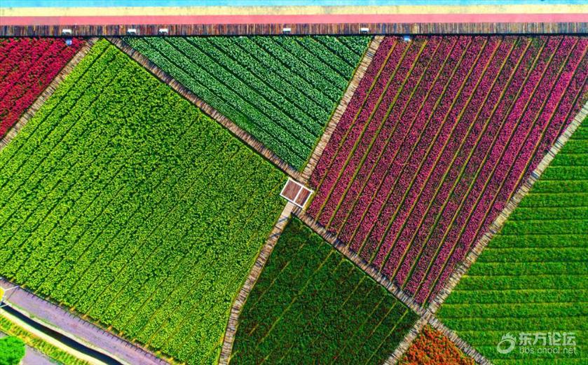 宁波秋天风景好的地方推荐,宁波秋天哪里有花海