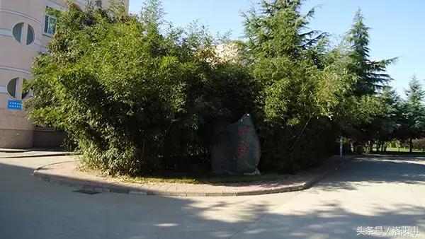 洛阳比较好的高中有哪些,洛阳优质高中有几所