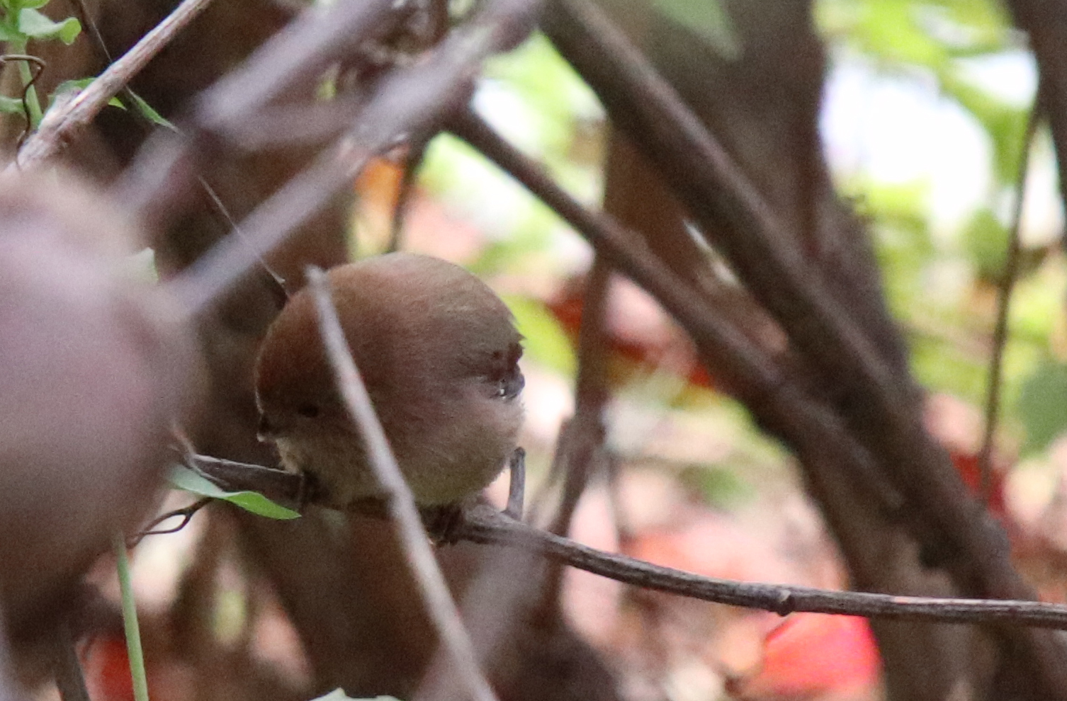 佳能eosm6二代拍照指南,佳能m6二代拍摄作品欣赏