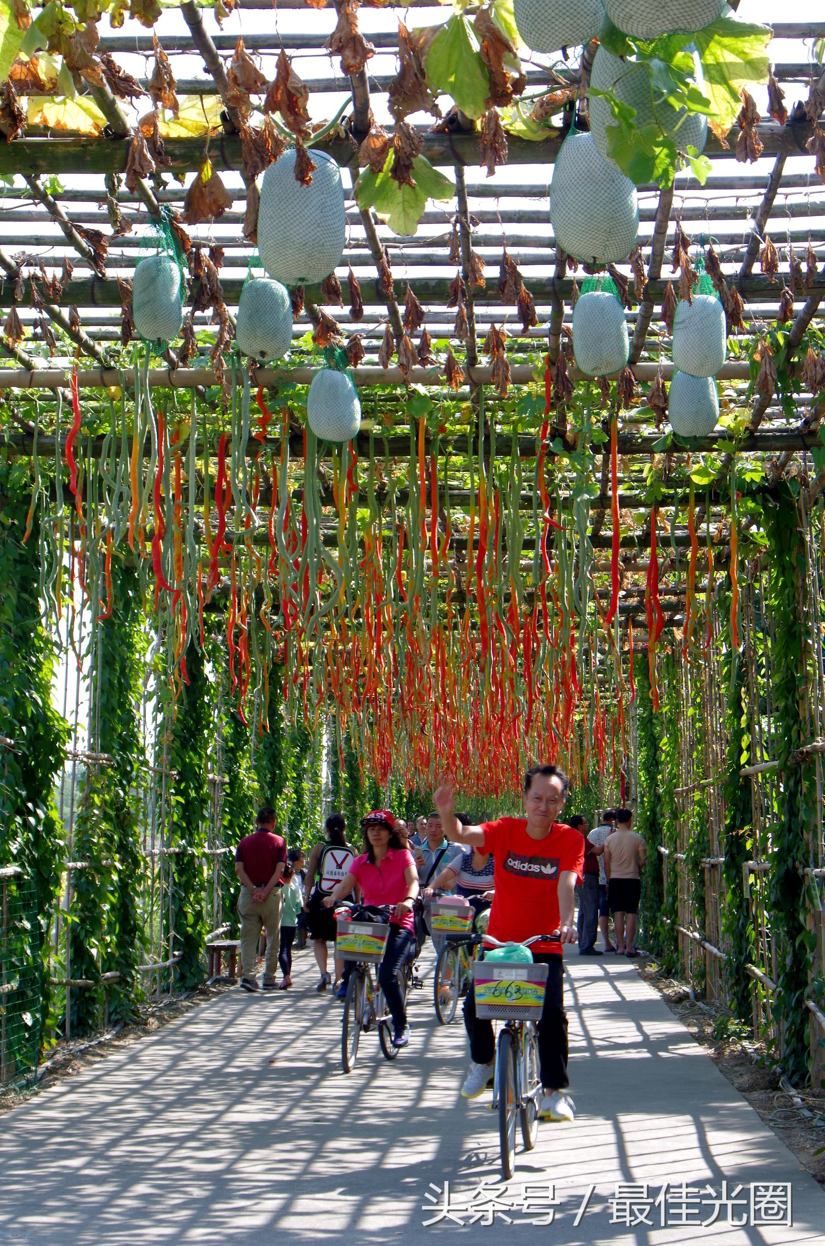 东涌绿道长廊有水玩吗,东涌绿道在哪里