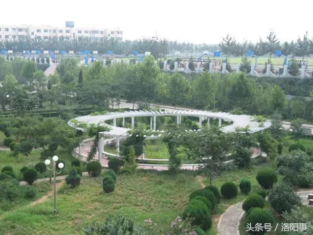 洛阳比较好的高中有哪些,洛阳优质高中有几所