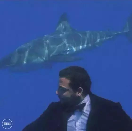 作死魔术,作死的魔术师