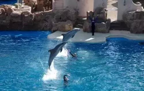 贵州都匀至北海五天四夜游,黔南到北海旅游攻略