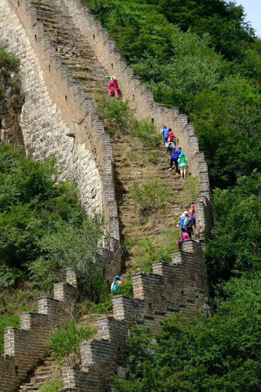 怎么通过心理调适治愈小儿抽动,如何矫正孩子的抽动秽语综合征