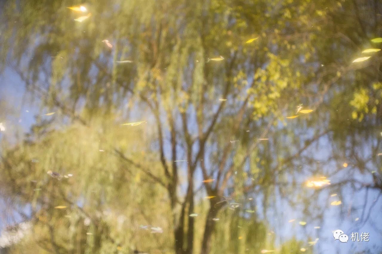 徕卡最顶级的m90镜头,徕卡90镜头展现