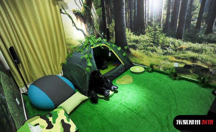 郑州影咖探店,私人影咖包房创意造型