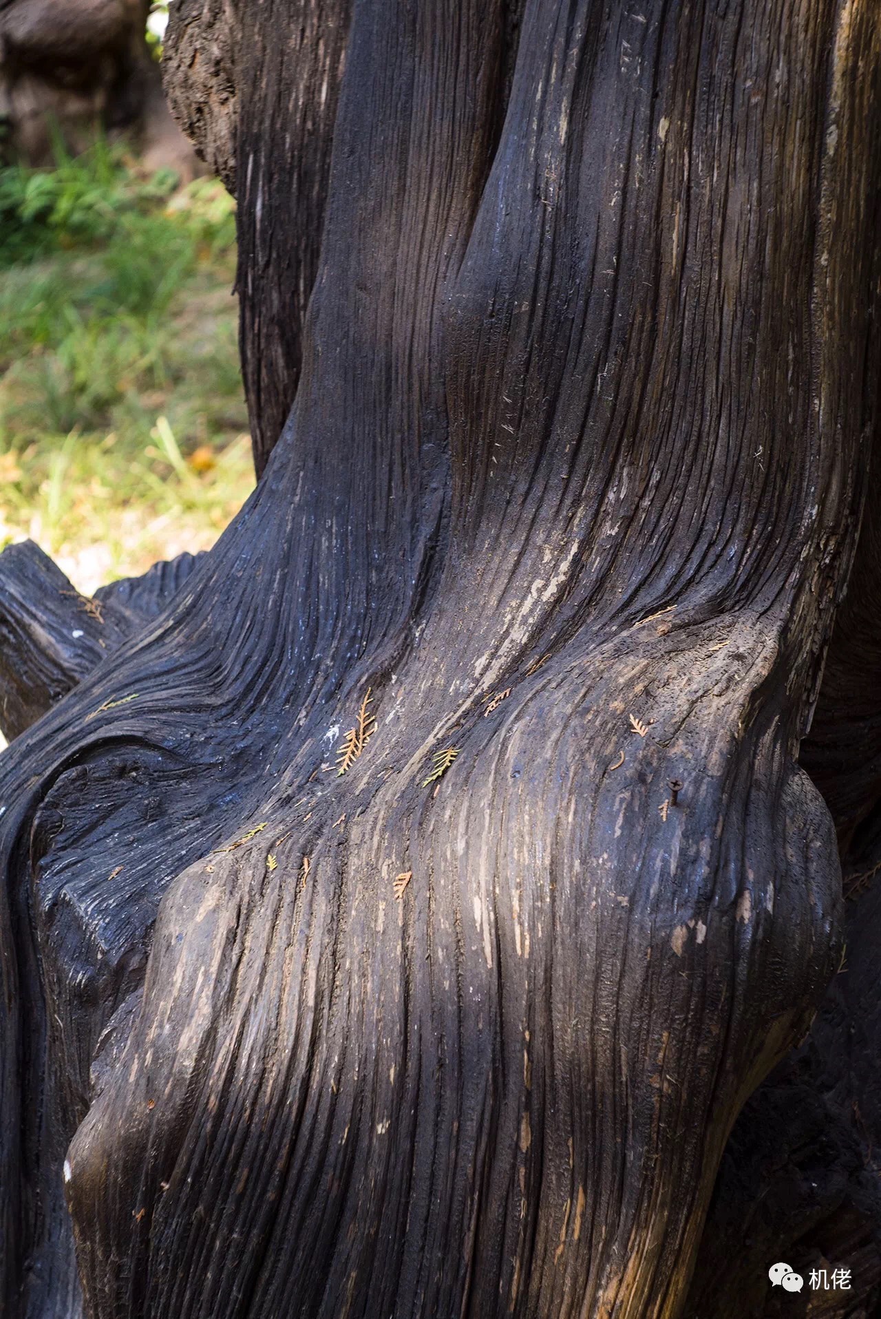 徕卡最顶级的m90镜头,徕卡90镜头展现