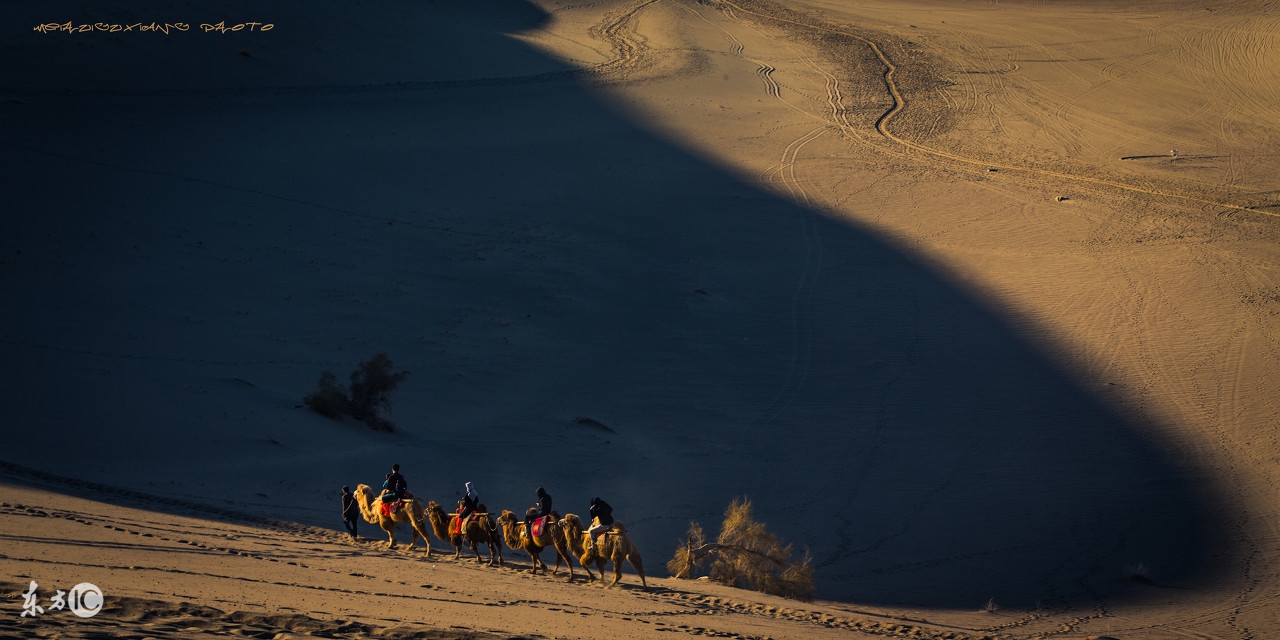 远处的背影歌曲,远处有怪物的影子