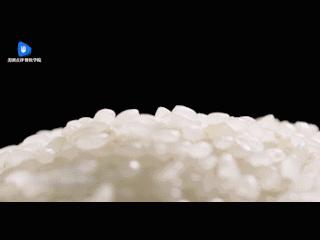 靠一单外卖赚90亿,靠外卖一月能赚多少钱