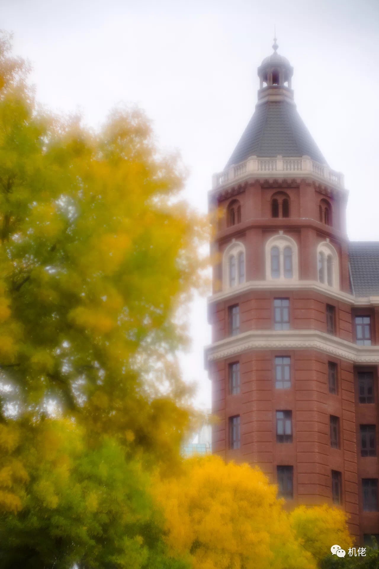 徕卡最顶级的m90镜头,徕卡90镜头展现