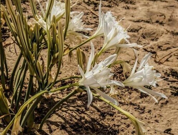 提升温柔感的清透的眼妆教程,好看的底妆眼妆