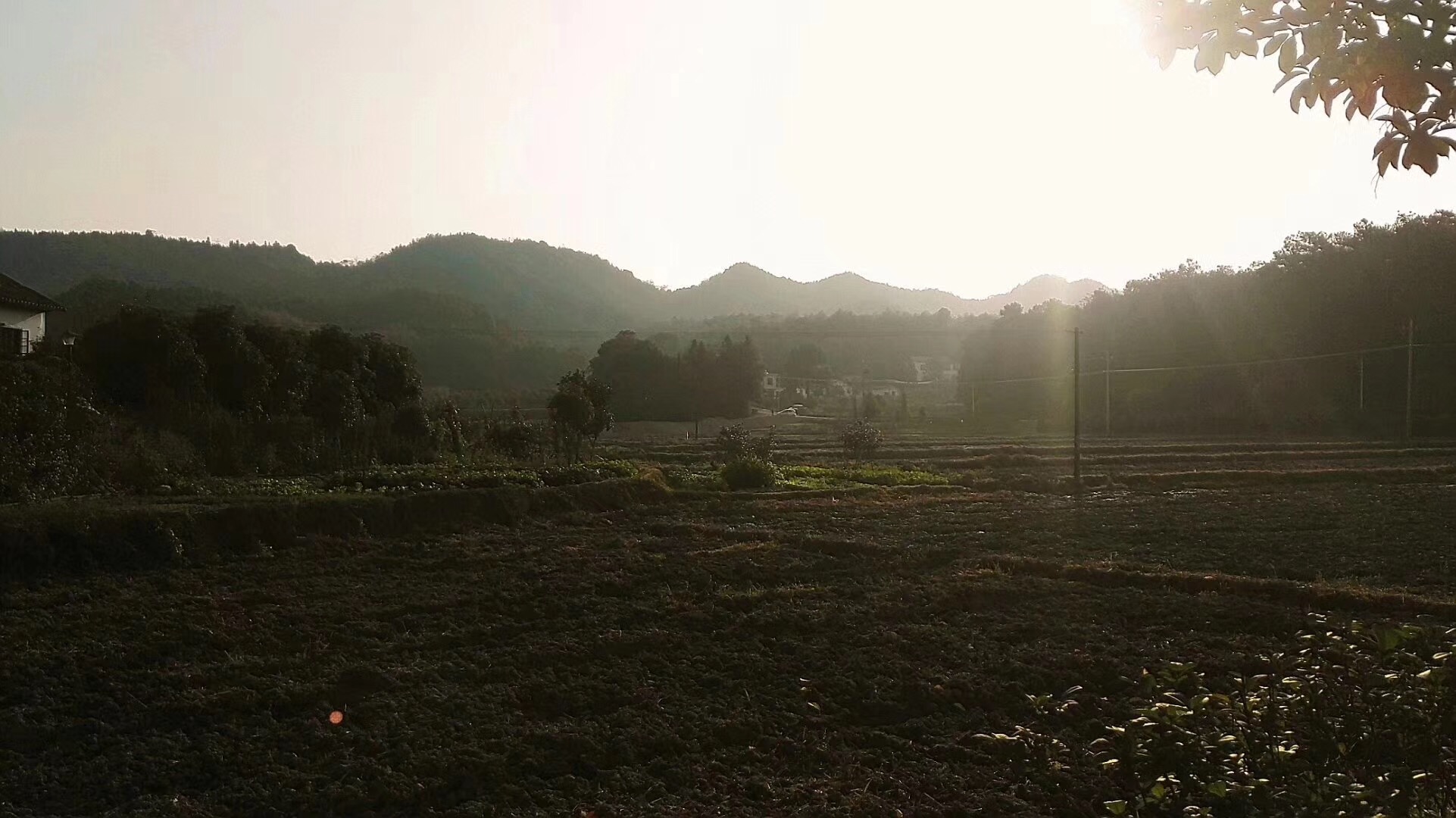 养猪状元陈世富,养猪暴发户的5个秘密