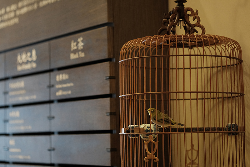 一个台湾资深媒体人眼中的两岸茶界十年