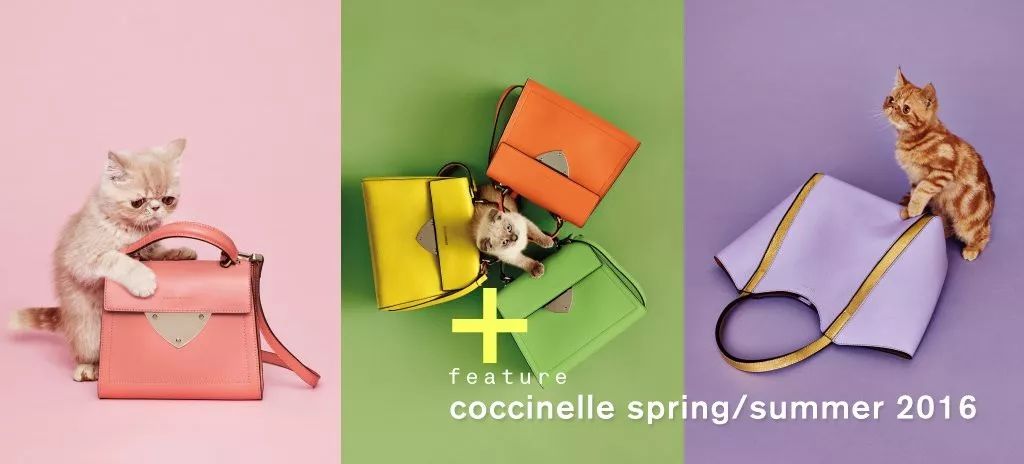 包包推荐小众高级感大方包,适合初秋的小众品牌包