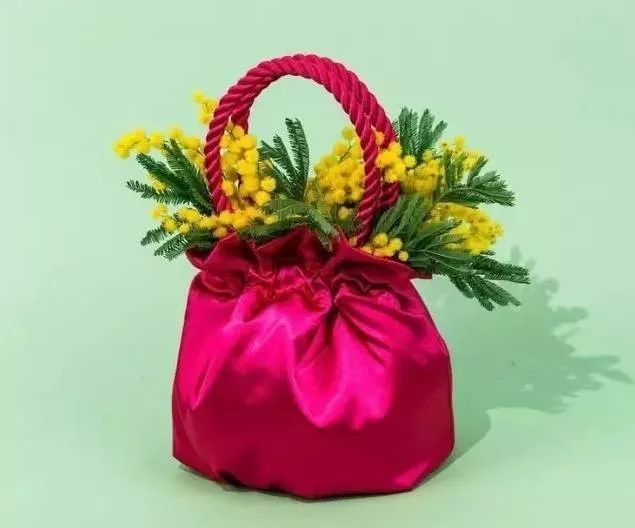 包包推荐小众高级感大方包,适合初秋的小众品牌包