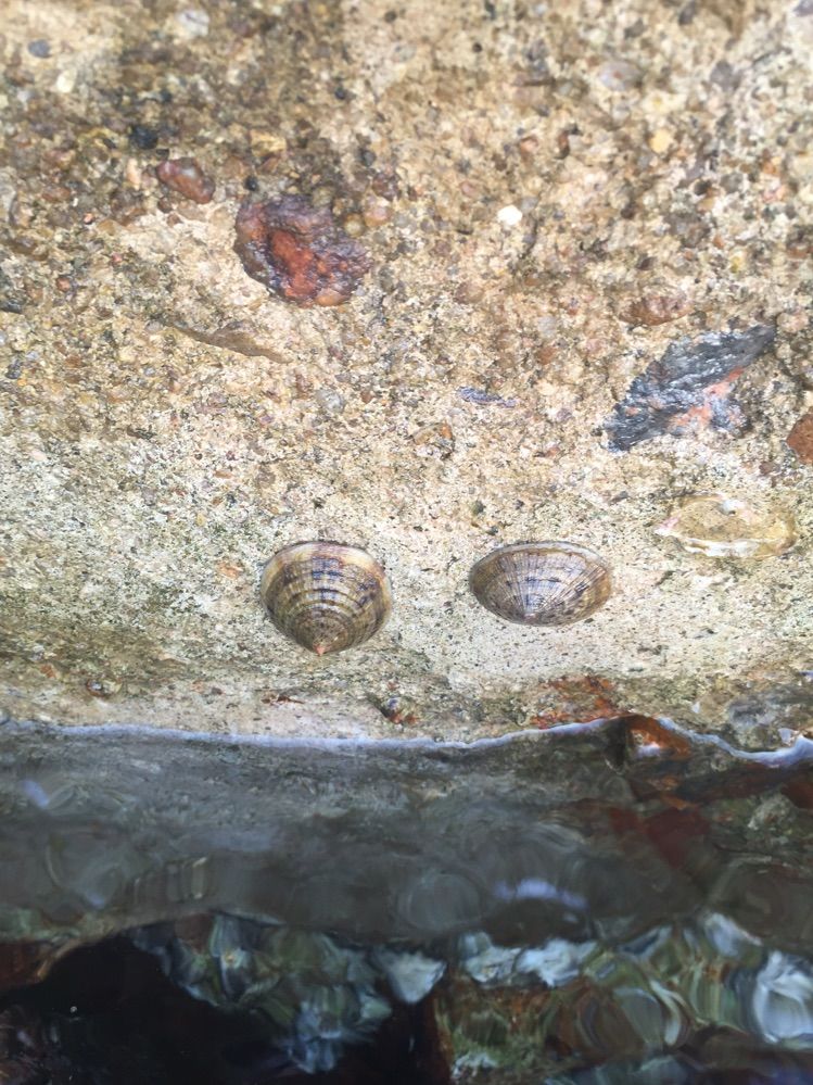 亲子三亚游，什么标题都不如这句话！