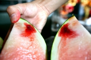 云无心博士,云无心食品科普