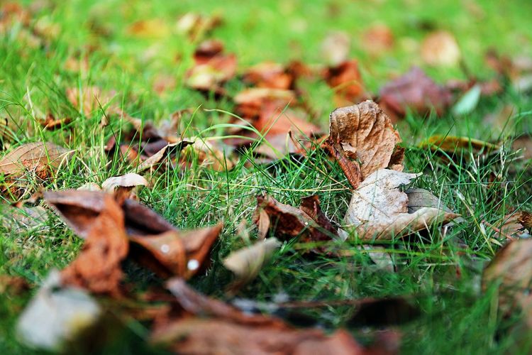 闽中明珠尤溪，八山一水一分田