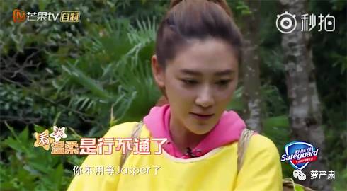 应采儿jasper为陈小春应援 (jasper看应采儿亲陈小春的眼神)