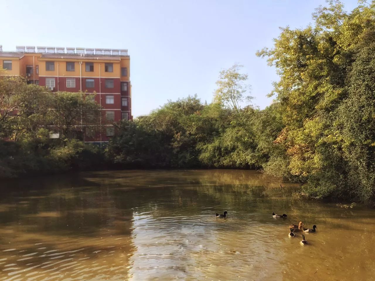 手机摄影作品赏析,手机摄影作品也可以美不胜收