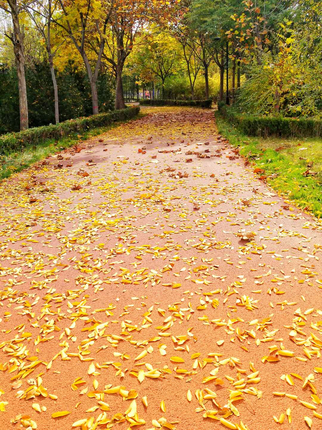 手机摄影作品赏析,手机摄影作品也可以美不胜收