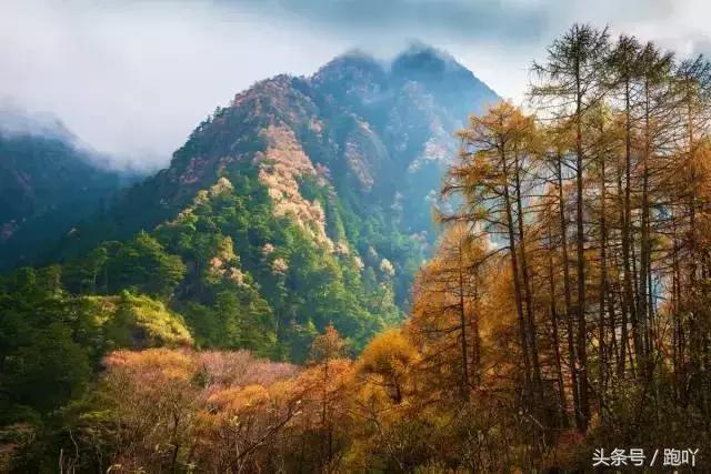 为何不要随便去雅安？