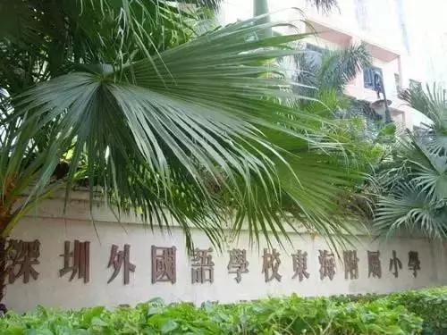 深圳福田前十名好的小学,深圳福田区小学排名前100名