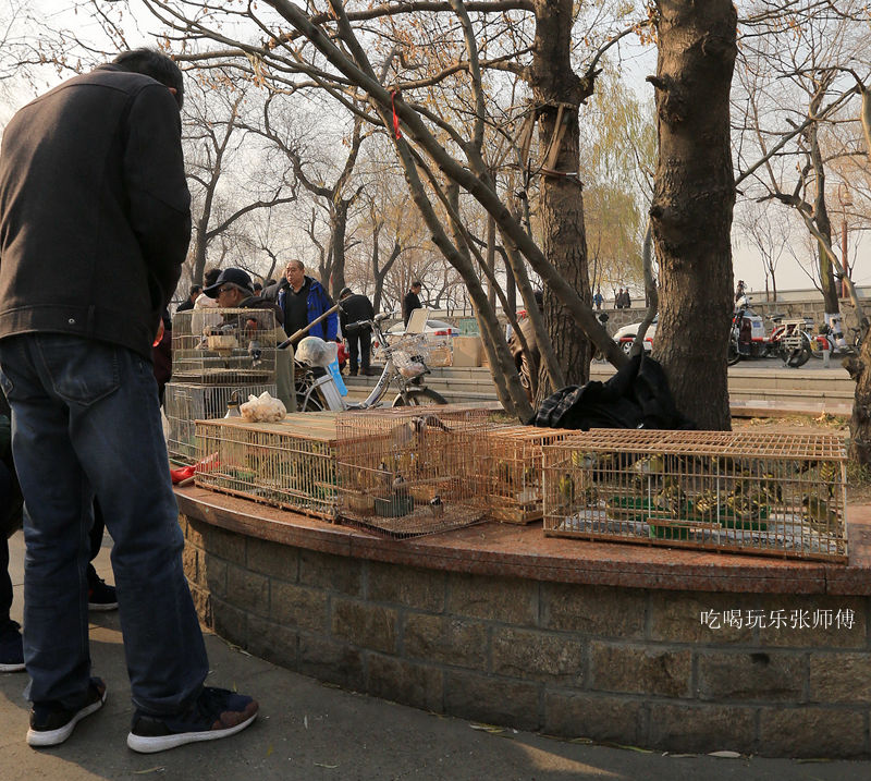 哈尔滨市畜牧交易市场,哈尔滨动物市场