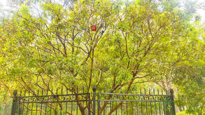 苏州旅游攻略两日游自由行,苏州旅游攻略2-3天自由行