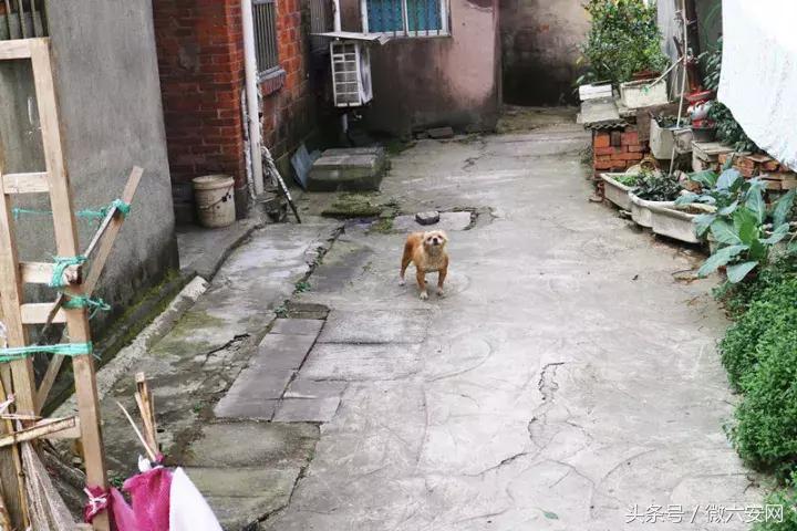 南京板桥老街,南京被遗忘的板桥