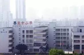 深圳福田前十名好的小学,深圳福田区小学排名前100名