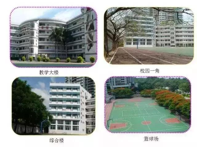 深圳福田前十名好的小学,深圳福田区小学排名前100名
