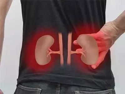 多囊肾是怎么引起的能治好吗,多囊肾的发病概率高吗