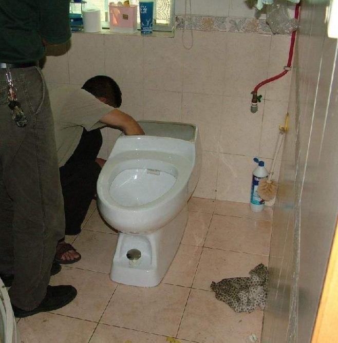 万万没想到，马桶堵了用开水就能通？看完老师傅的操作我信了！