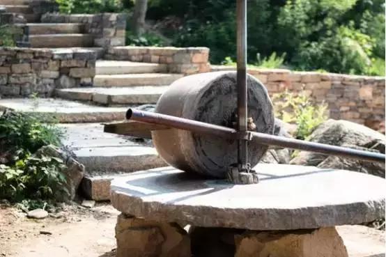 本是一个穷山沟，为何能拿到国家2.1亿元项目补贴？