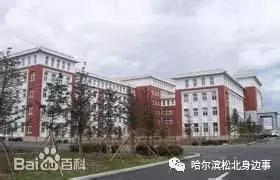 哈尔滨松北区重点初中,松北初中一览表