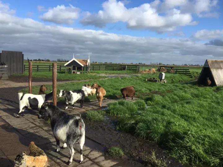 荷兰最美的小镇童话,荷兰童话王国般的村庄