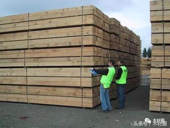 关于木材涨价的通知,木材缺货最新消息