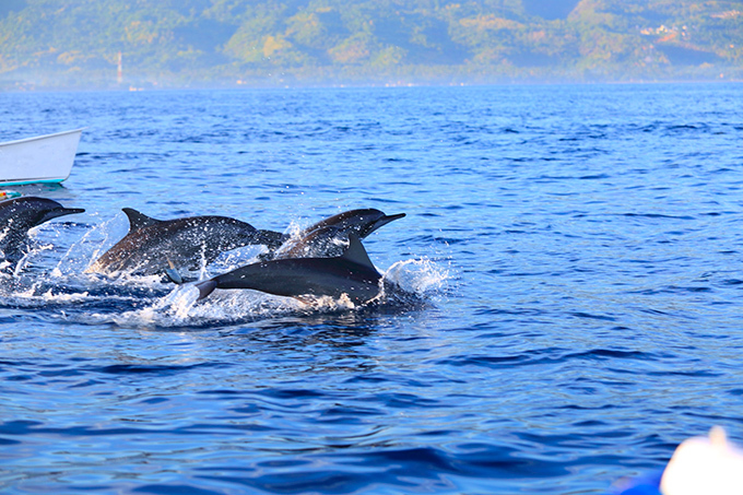 来巴厘岛必体验的6大景点，超实用攻略！