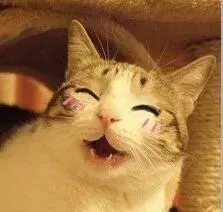 一件皮衣穿出多种时髦,一件皮衣多样穿搭