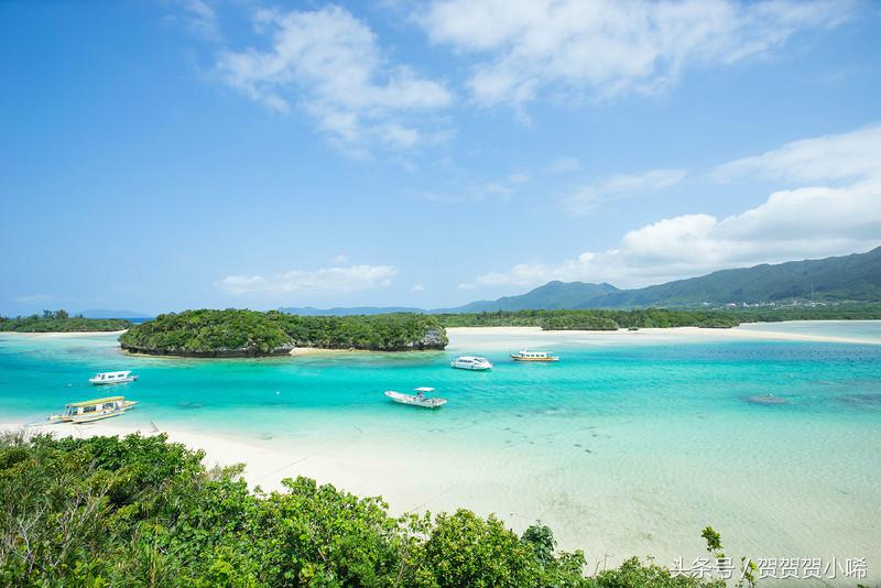 游轮旅行日本攻略,坐游轮去日本大概需要多少钱