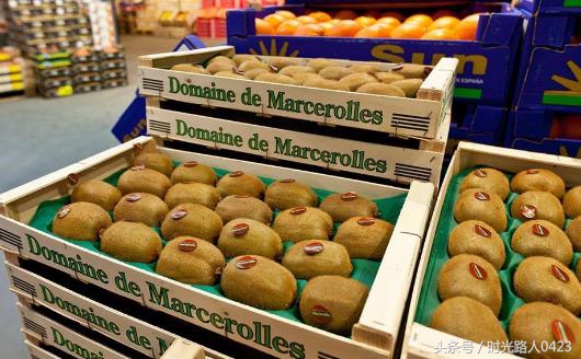 2022农村创业好点子,2017推荐农村创业致富的3个金点子