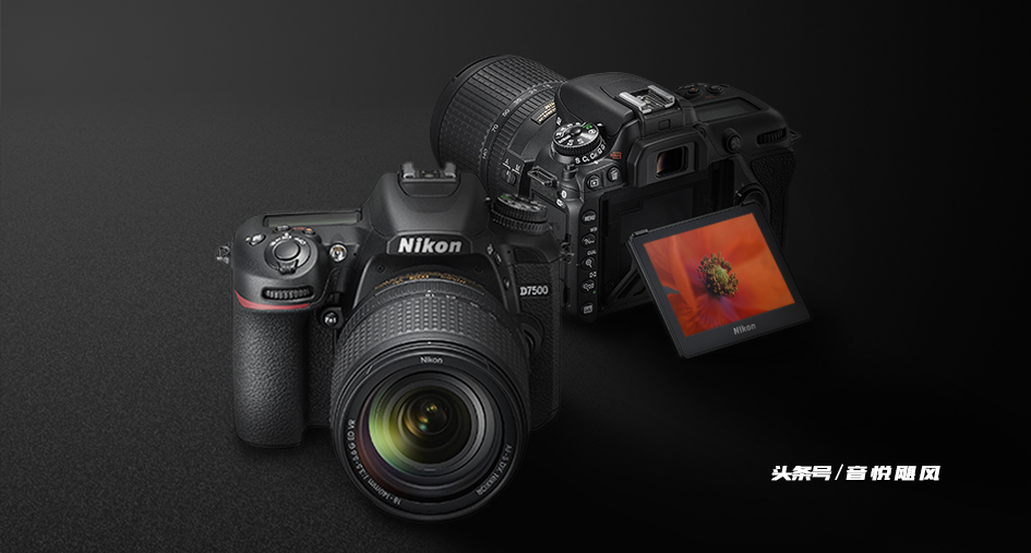 适合新手小白的单反相机尼康d7500,尼康d7500图像品质推荐