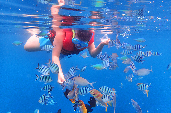 来巴厘岛必体验的6大景点，超实用攻略！