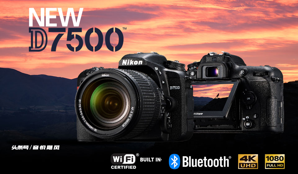 适合新手小白的单反相机尼康d7500,尼康d7500图像品质推荐