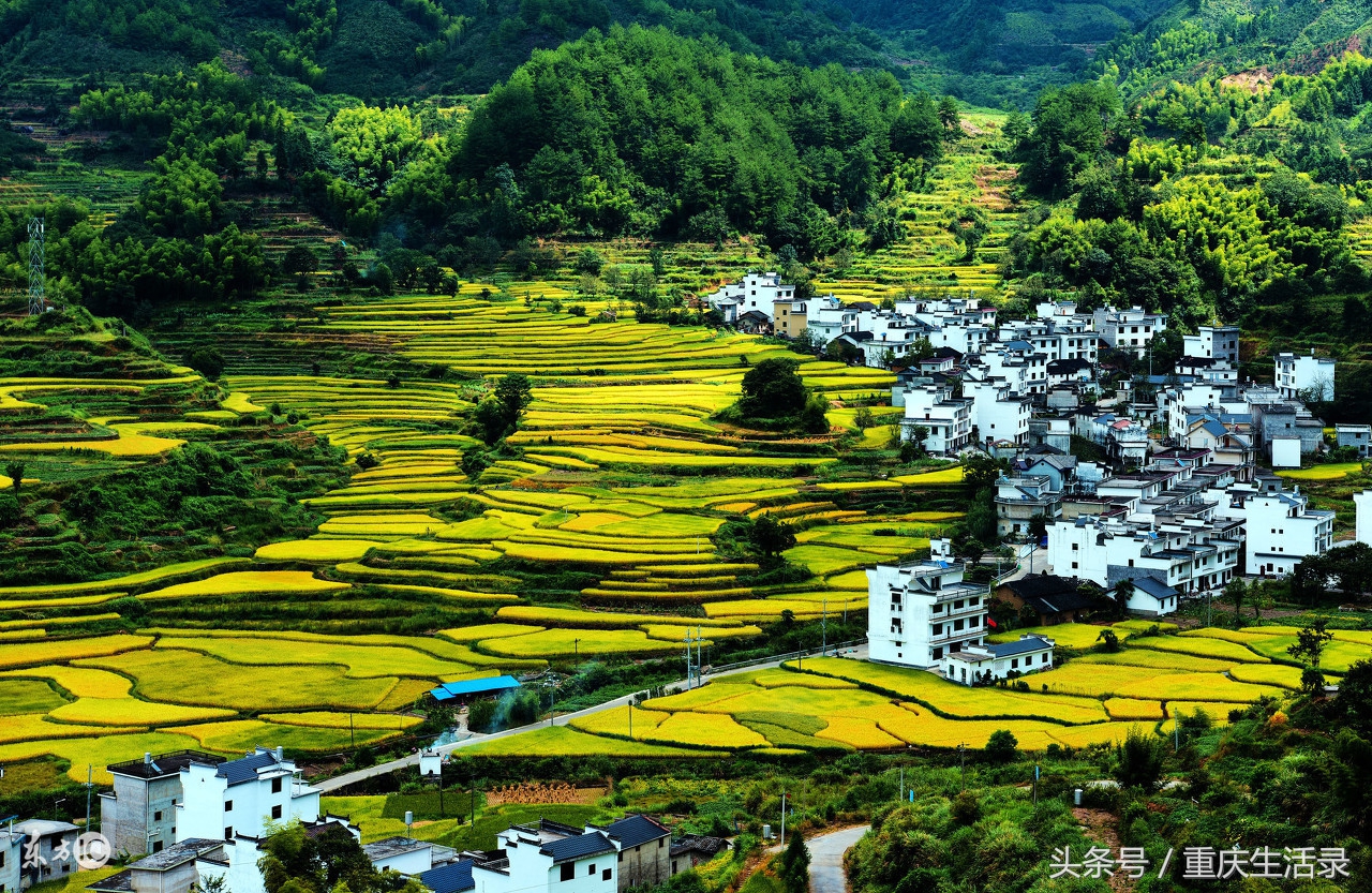 重庆最贫穷的乡镇真实情况,重庆最富村