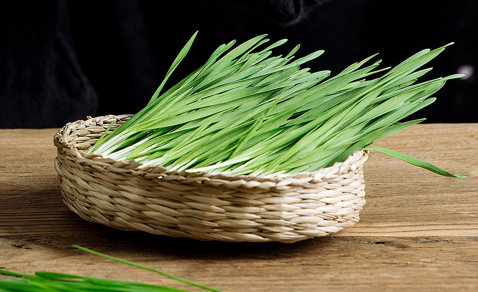 青汁如何选择,怎样选青汁