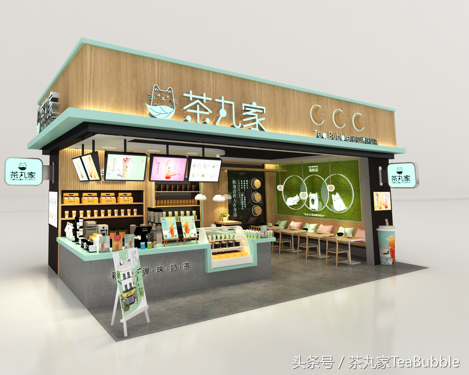 深度解析茶丸家,茶丸家到底怎么样