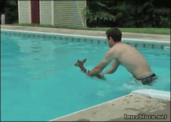 澶ц劯鐚殑鐑︽伡,澶ц劯鐚殑鐑︽伡瑙ｈ