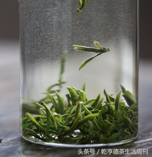 丽水哪里有卖惠明茶,茶香中国一等奖视频